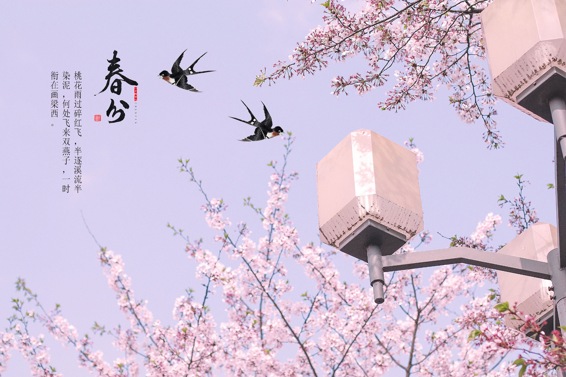 春分至，萬物生：感受春天的溫暖與希望